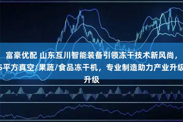 富豪优配 山东互川智能装备引领冻干技术新风尚，5平方真空/果蔬/食品冻干机，专业制造助力产业升级
