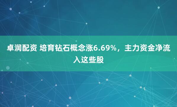 卓润配资 培育钻石概念涨6.69%，主力资金净流入这些股