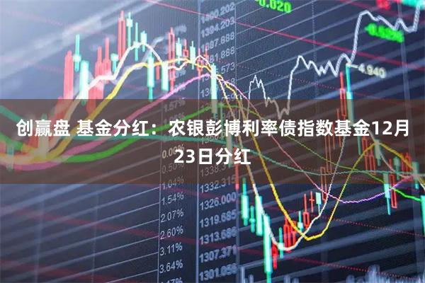 创赢盘 基金分红：农银彭博利率债指数基金12月23日分红